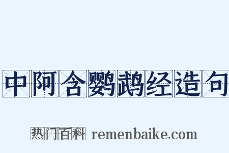 中阿含鹦鹉经造句是什么意思的图片